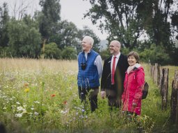 Natur-Blumenwiese Bislicher Inseln Xanten 0624